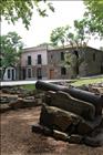 25 Colonia